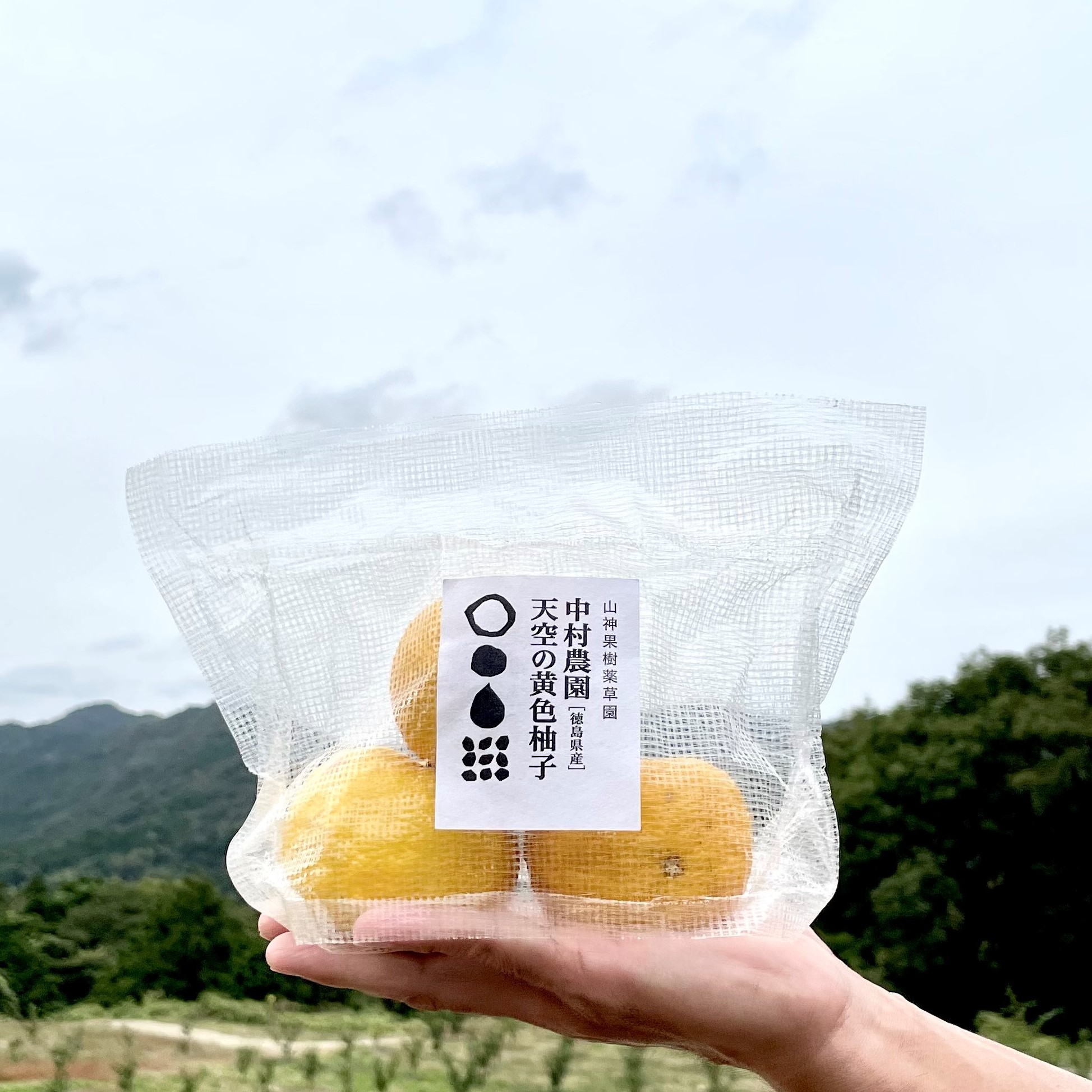 富士河口湖工場ファクトリーショップ有機JAS認定｢天空の黄色柚子｣販売
